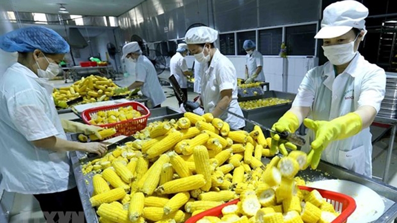 Vietnam needs to invest in processing, packaging of agricultural products: experts